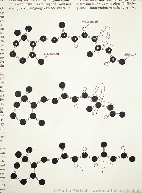 11-cis-retinal