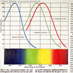 : Curves with color-spectrum