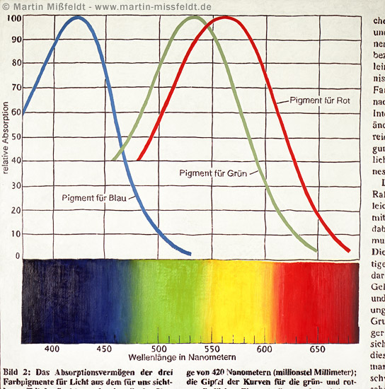 Curves with color-spectrum