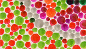 Many colorful points