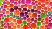 Painting points