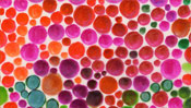 Colours