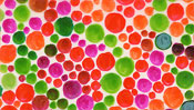 Colored spots