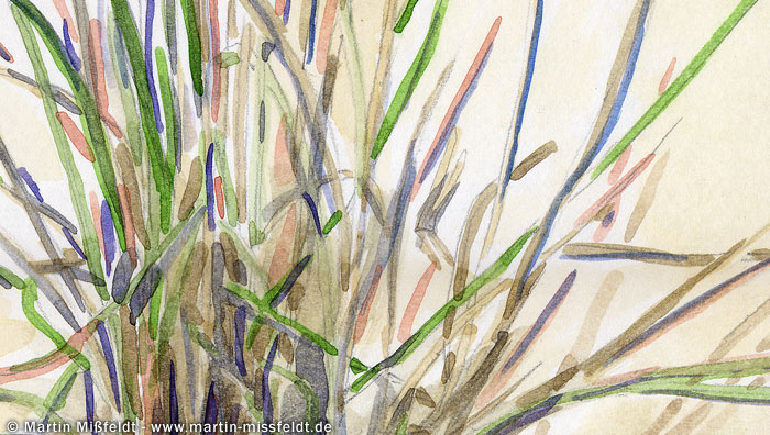 Grass