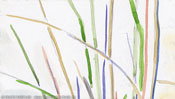Colored grass