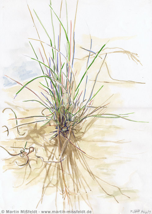 Grass tufts