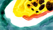 Fluid colors