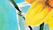 Flowers: narcissus (Watercolor) (Detail 2)