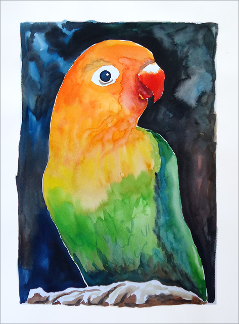 Watercolor Parrot